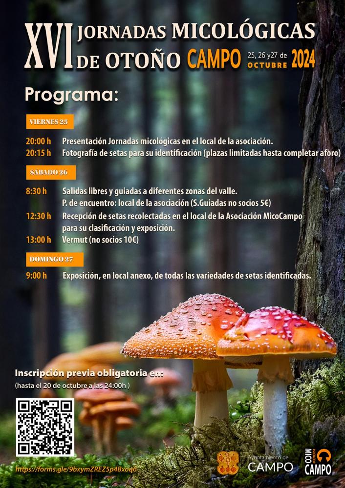 Imagen XVII Jornadas Micologicas en Campo del 25 al 27 de octubre
