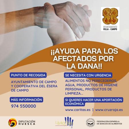 Imagen 1ª Recogida solidaria DANA en Campo