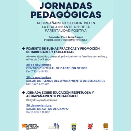 Jornadas pedagógicas y de acompañamiento educativo en etapa infantil