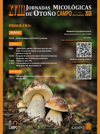 Imagen JORNADAS MICOLÓGICAS DE CAMPO